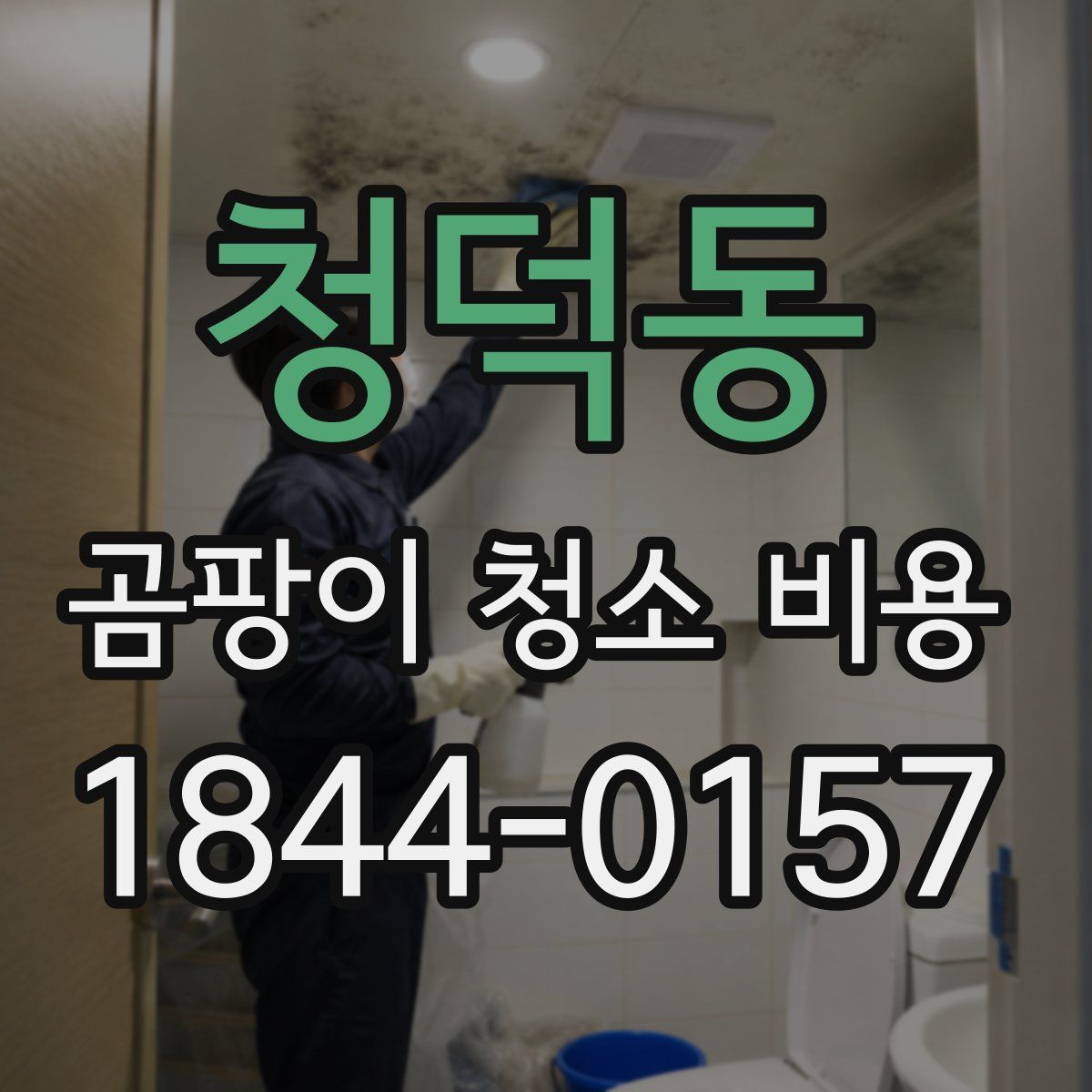 청덕동 곰팡이 청소 비용