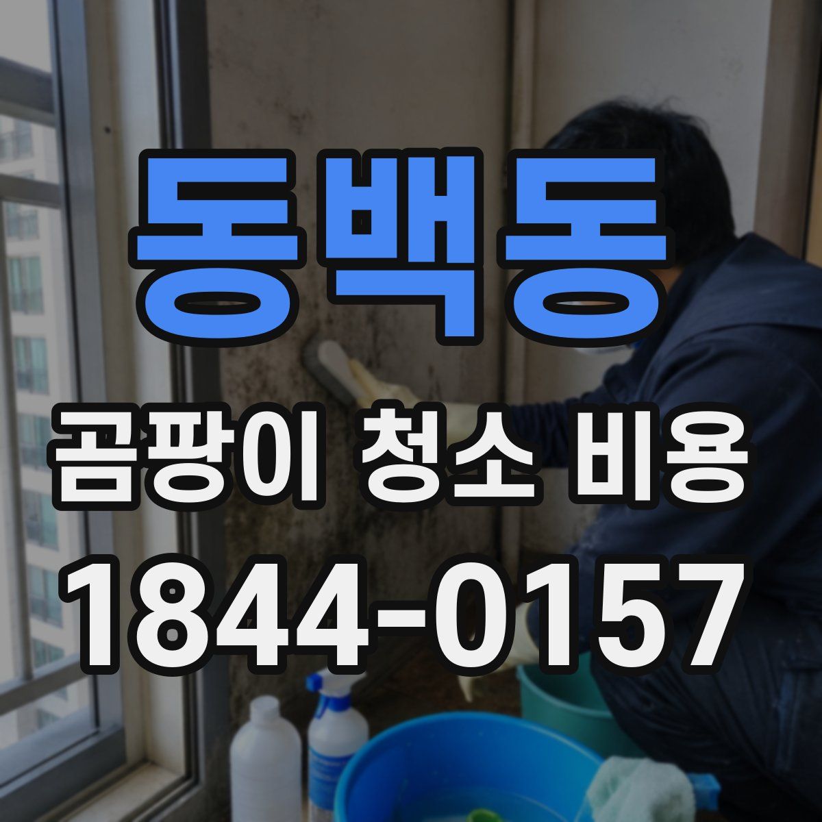 동백동 곰팡이 청소 비용