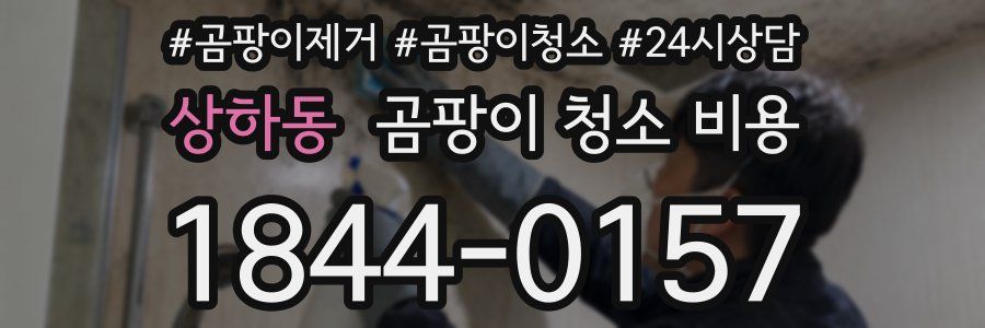 상하동 곰팡이 청소 비용