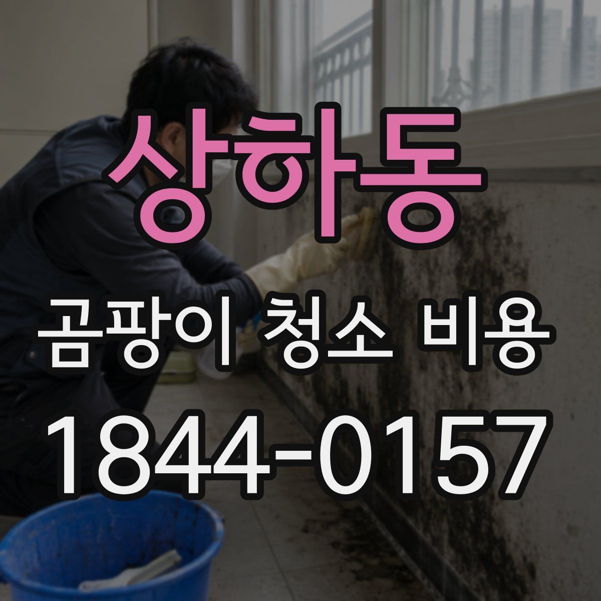 상하동 곰팡이 청소 비용
