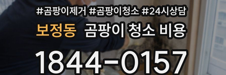 보정동 곰팡이 청소 비용