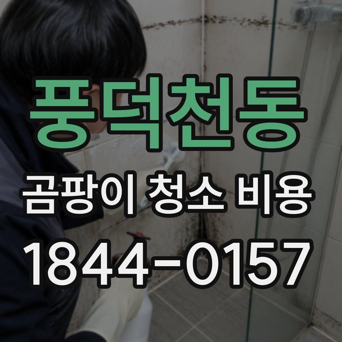 풍덕천동 곰팡이 청소 비용 천장 부위와 실리콘 라인 처리 방식 비교