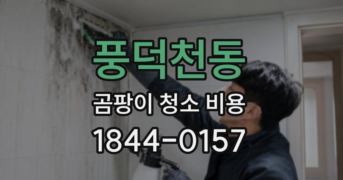 풍덕천동 곰팡이 청소 비용