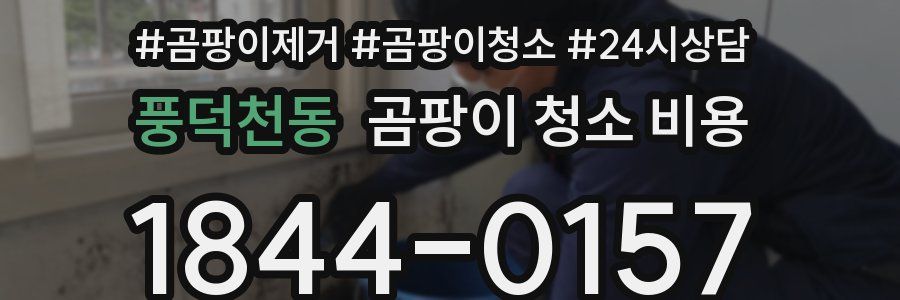 풍덕천동 곰팡이 청소 비용