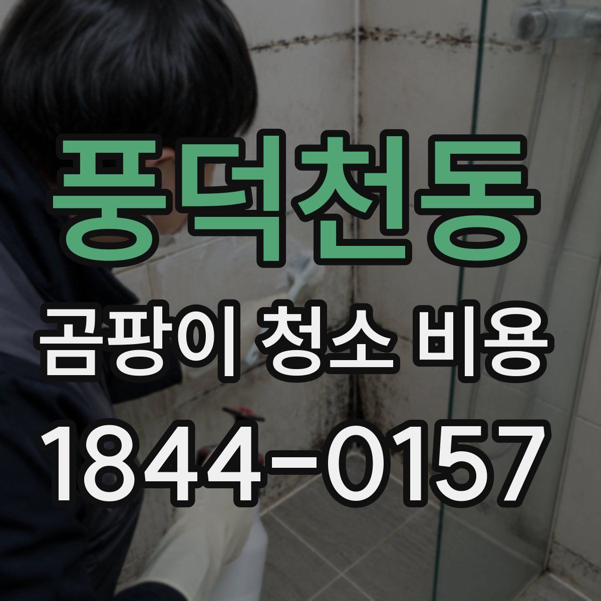 풍덕천동 곰팡이 청소 비용