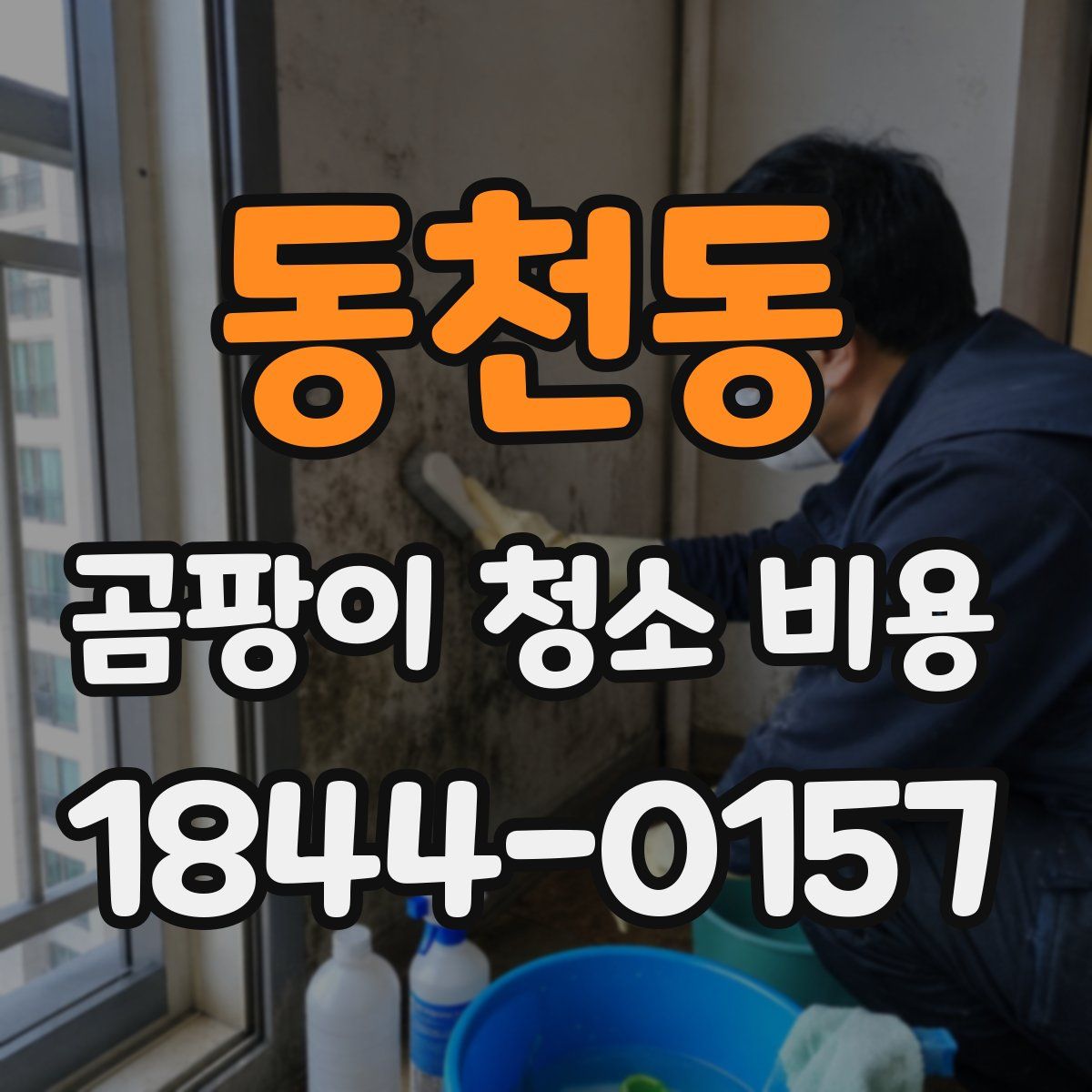 동천동 곰팡이 청소 비용