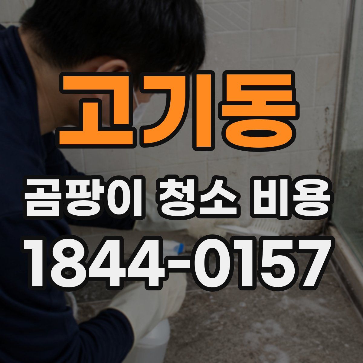고기동 곰팡이 청소 비용