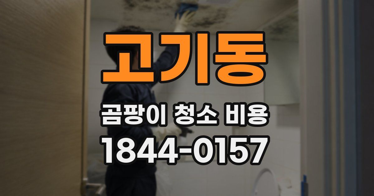 고기동 곰팡이 청소 비용