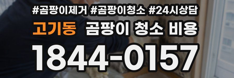 고기동 곰팡이 청소 비용