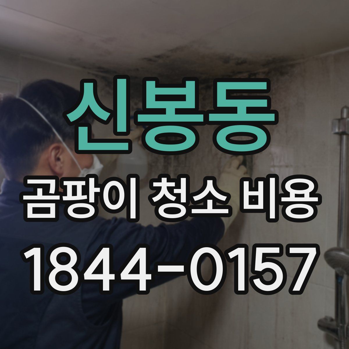 신봉동 곰팡이 청소 비용