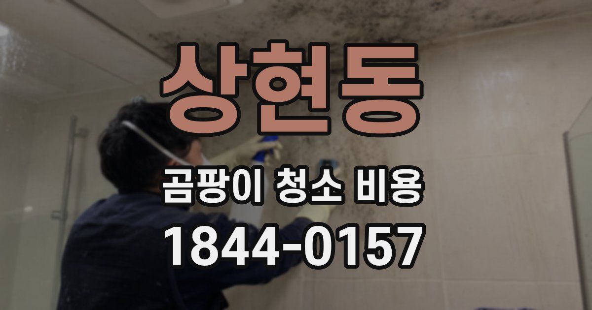 상현동 곰팡이 청소 비용