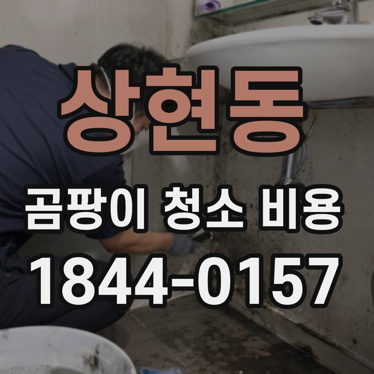 상현동 곰팡이 청소 비용