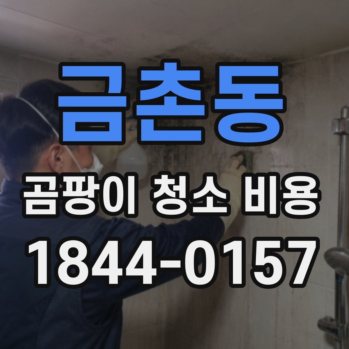 금촌동 곰팡이 청소 비용