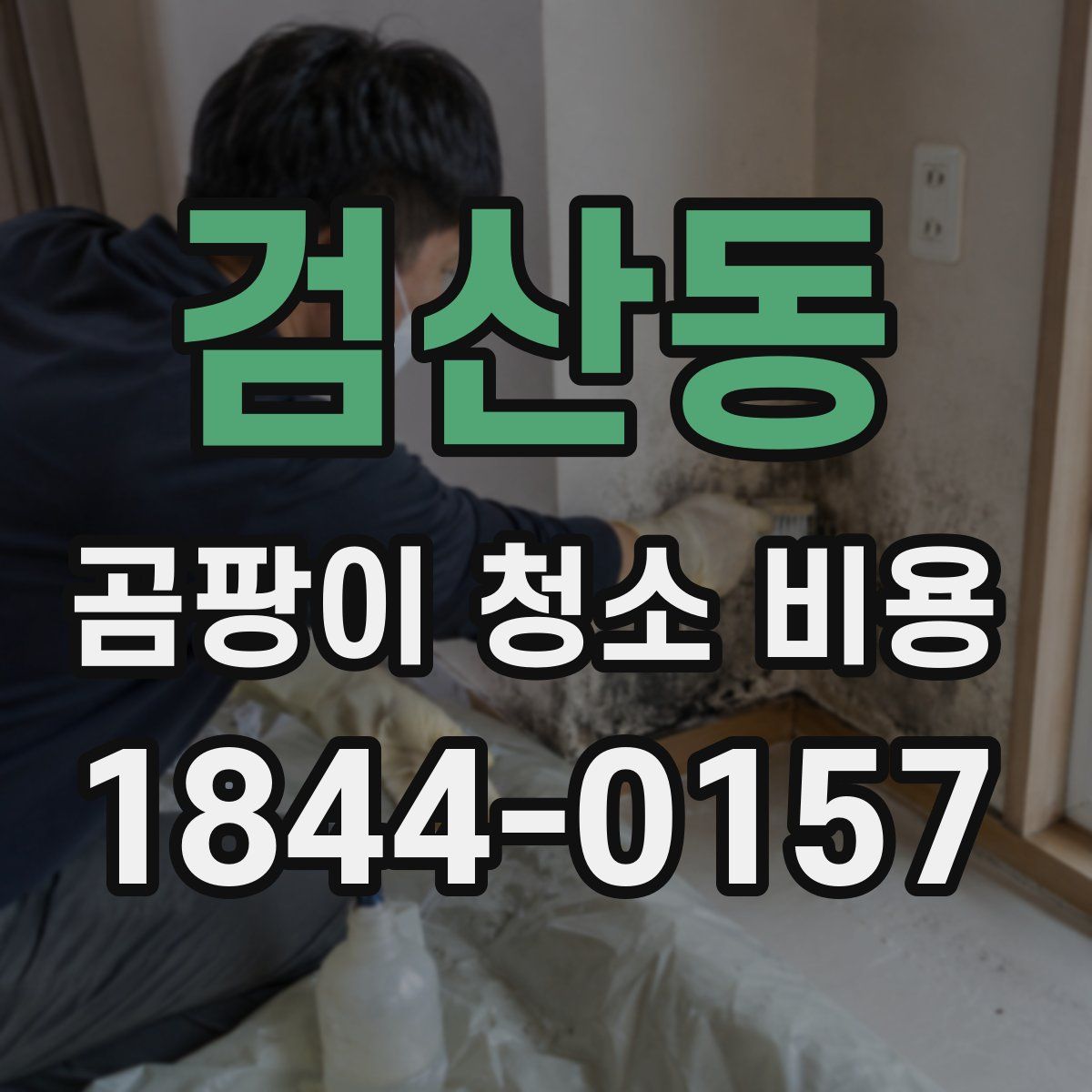 검산동 곰팡이 청소 비용