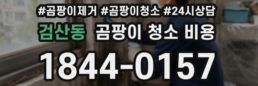 검산동 곰팡이 청소 비용
