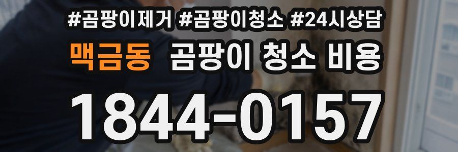 맥금동 곰팡이 청소 비용