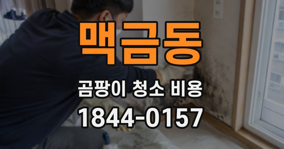 맥금동 곰팡이 청소 비용