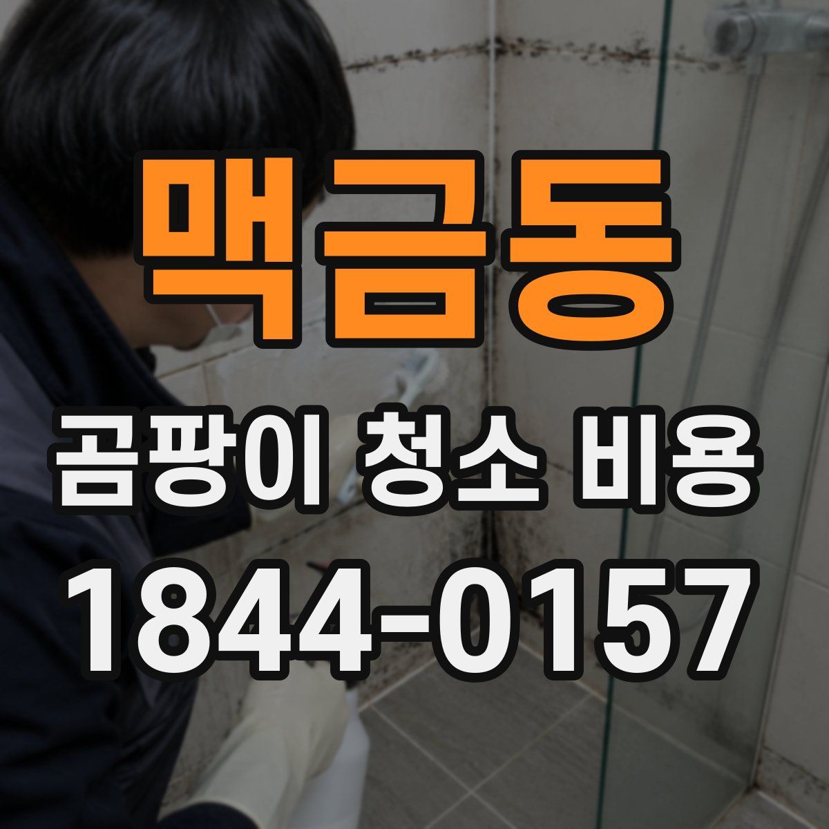 맥금동 곰팡이 청소 비용