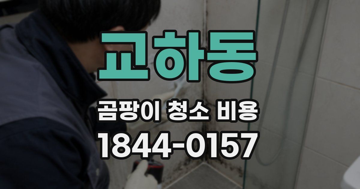 교하동 곰팡이 청소 비용