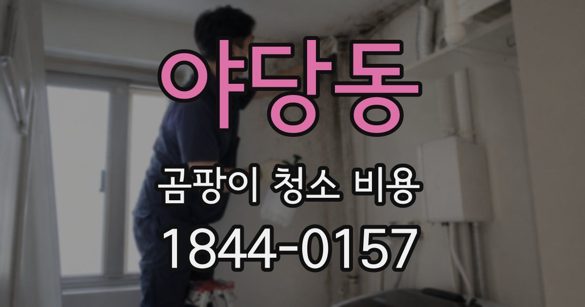 야당동 곰팡이 청소 비용