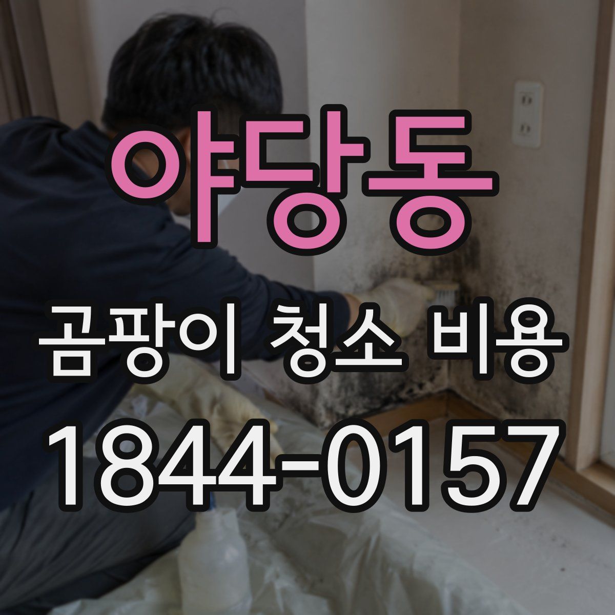 야당동 곰팡이 청소 비용