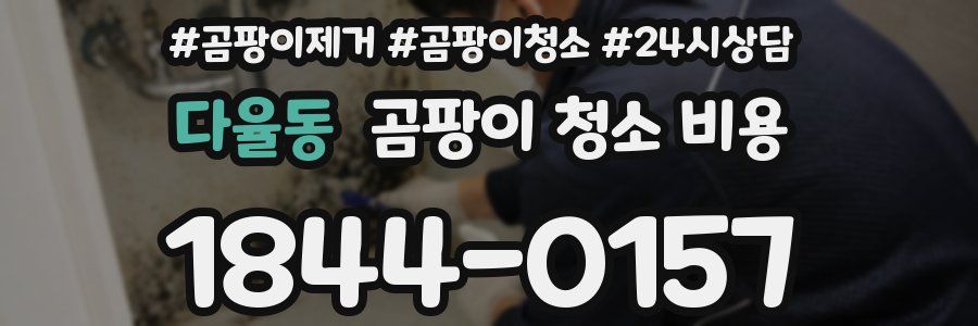 다율동 곰팡이 청소 비용