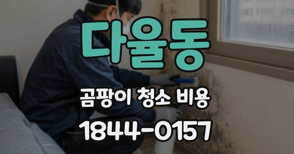 다율동 곰팡이 청소 비용
