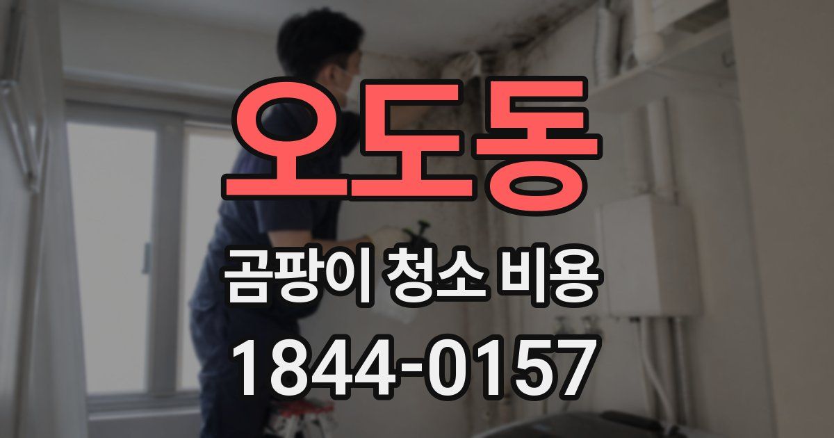 오도동 곰팡이 청소 비용