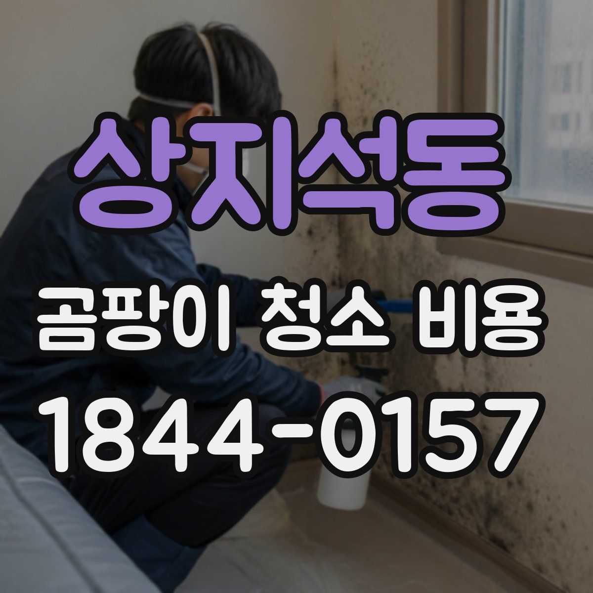 상지석동 곰팡이 청소 비용