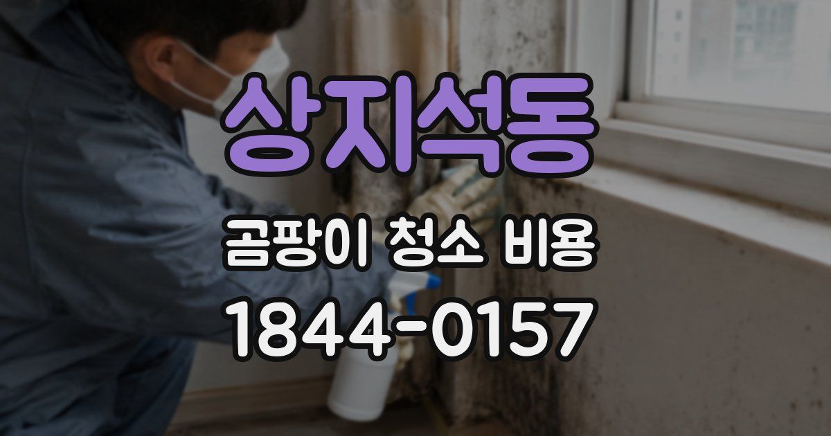 상지석동 곰팡이 청소 비용