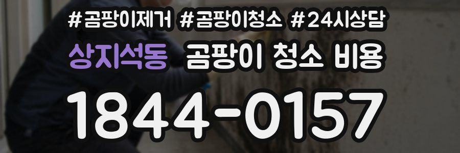 상지석동 곰팡이 청소 비용
