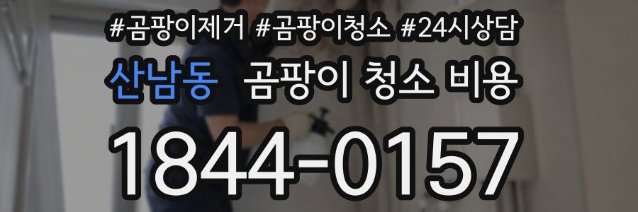 산남동 곰팡이 청소 비용