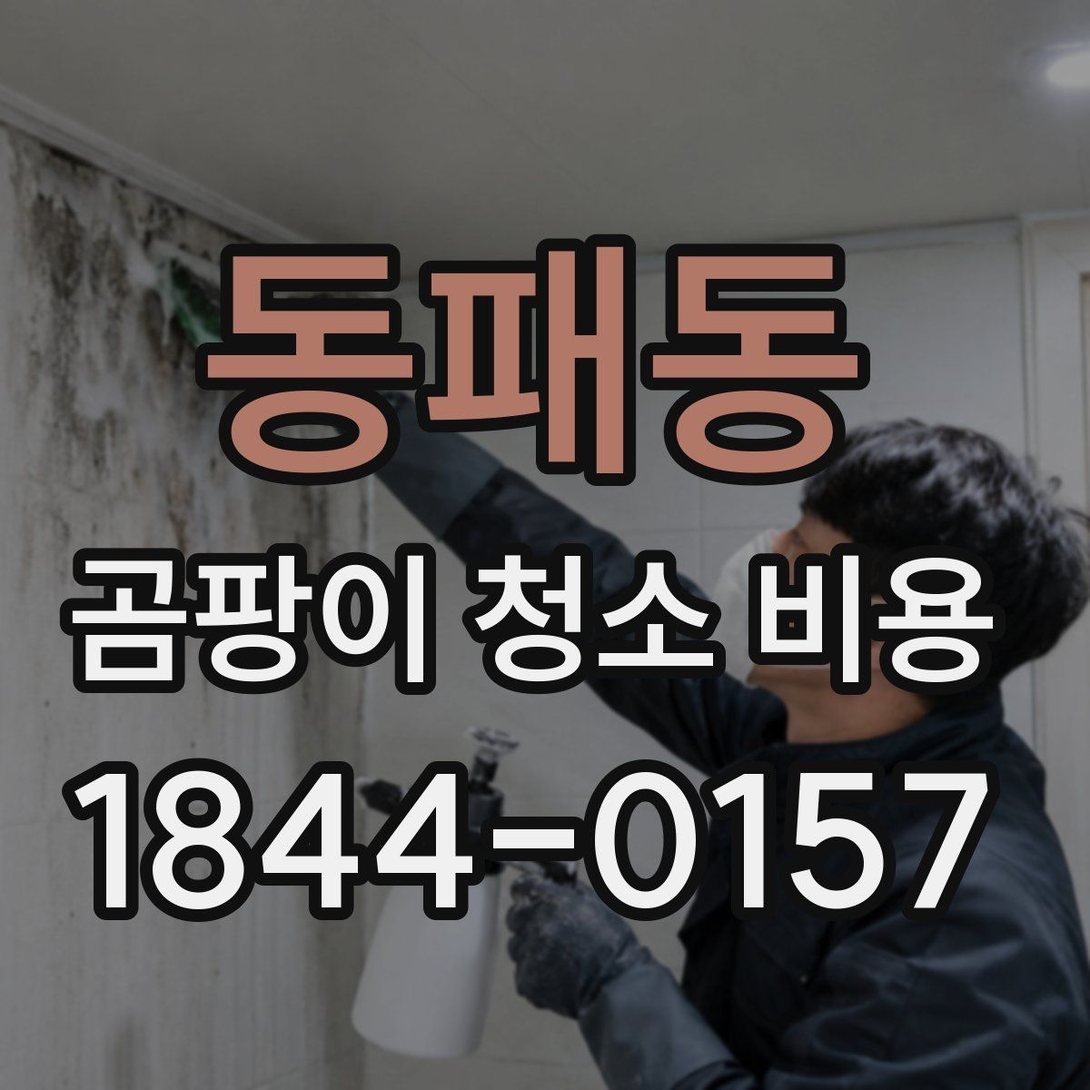 동패동 곰팡이 청소 비용