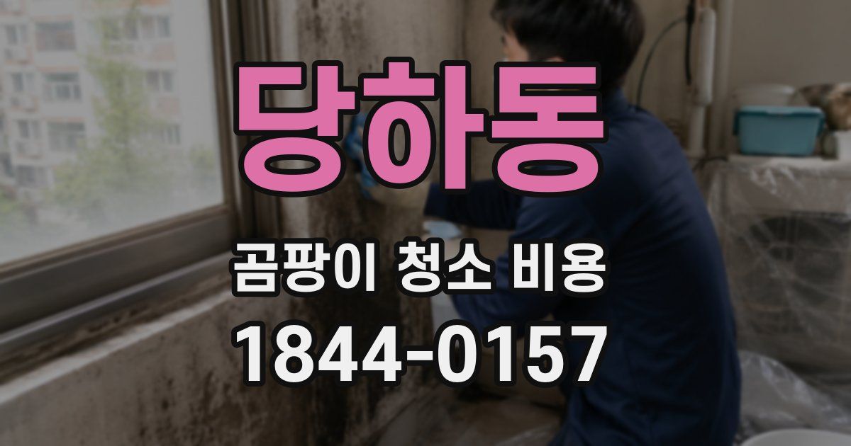 당하동 곰팡이 청소 비용