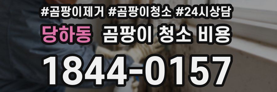 당하동 곰팡이 청소 비용
