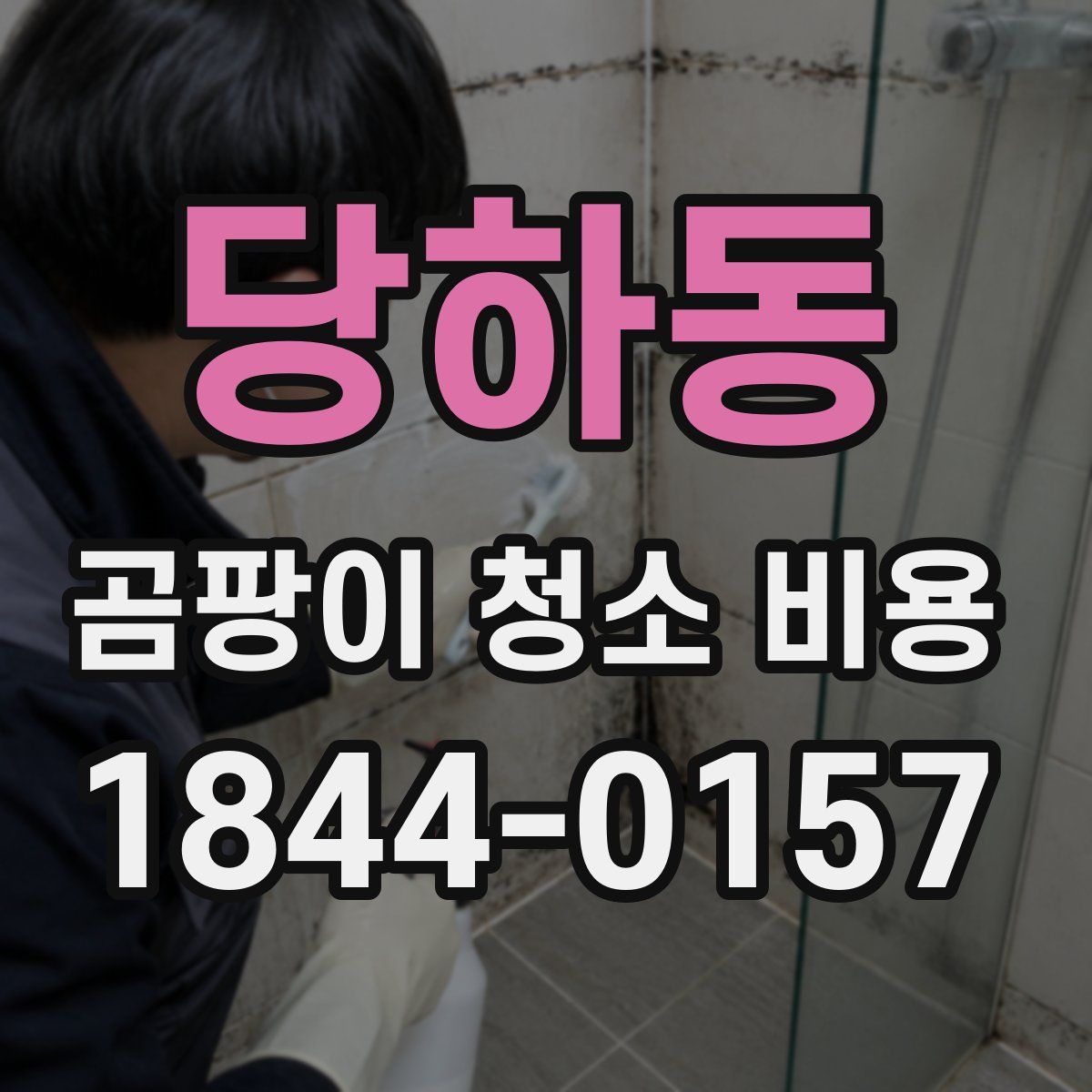 당하동 곰팡이 청소 비용