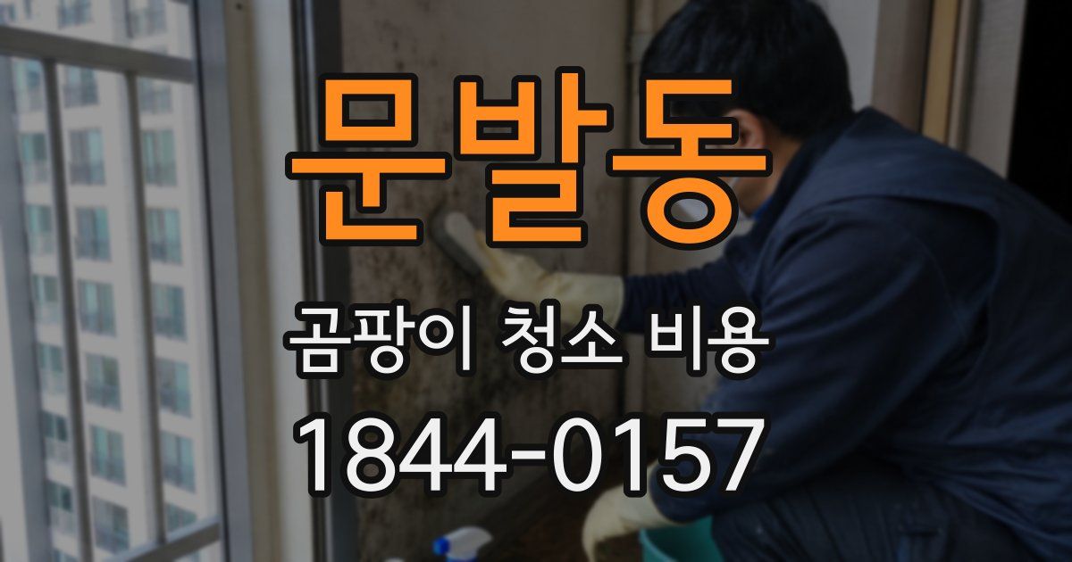 문발동 곰팡이 청소 비용
