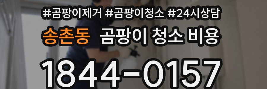 송촌동 곰팡이 청소 비용