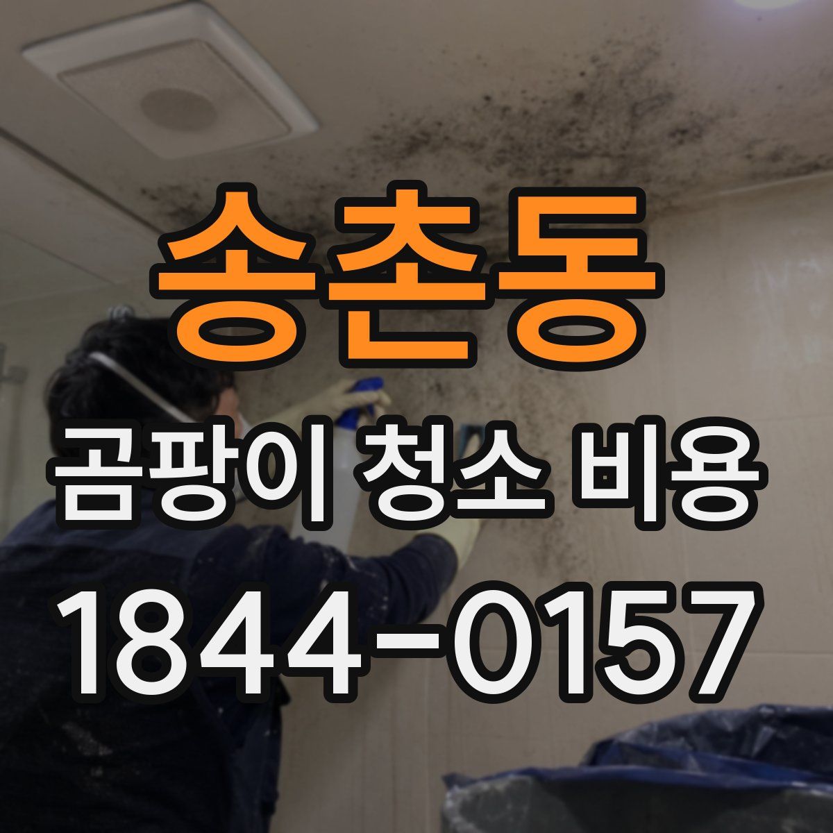 송촌동 곰팡이 청소 비용