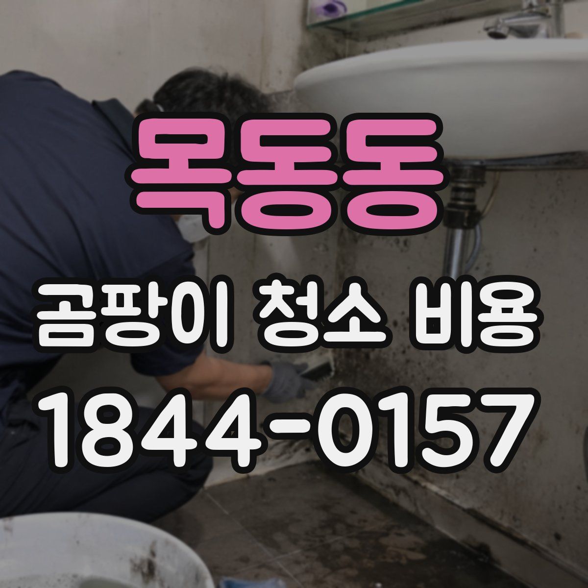 목동동 곰팡이 청소 비용