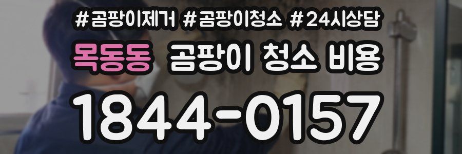 목동동 곰팡이 청소 비용