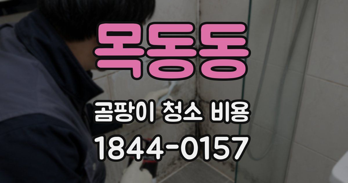 목동동 곰팡이 청소 비용