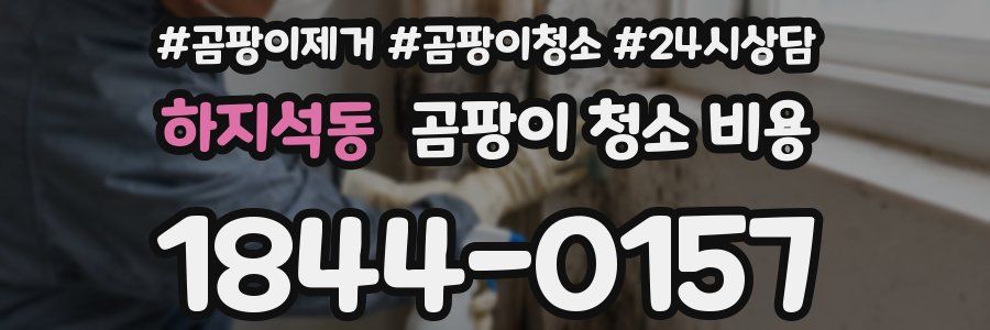 하지석동 곰팡이 청소 비용