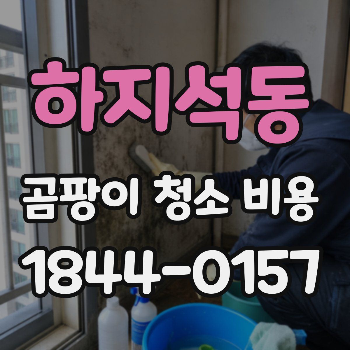 하지석동 곰팡이 청소 비용
