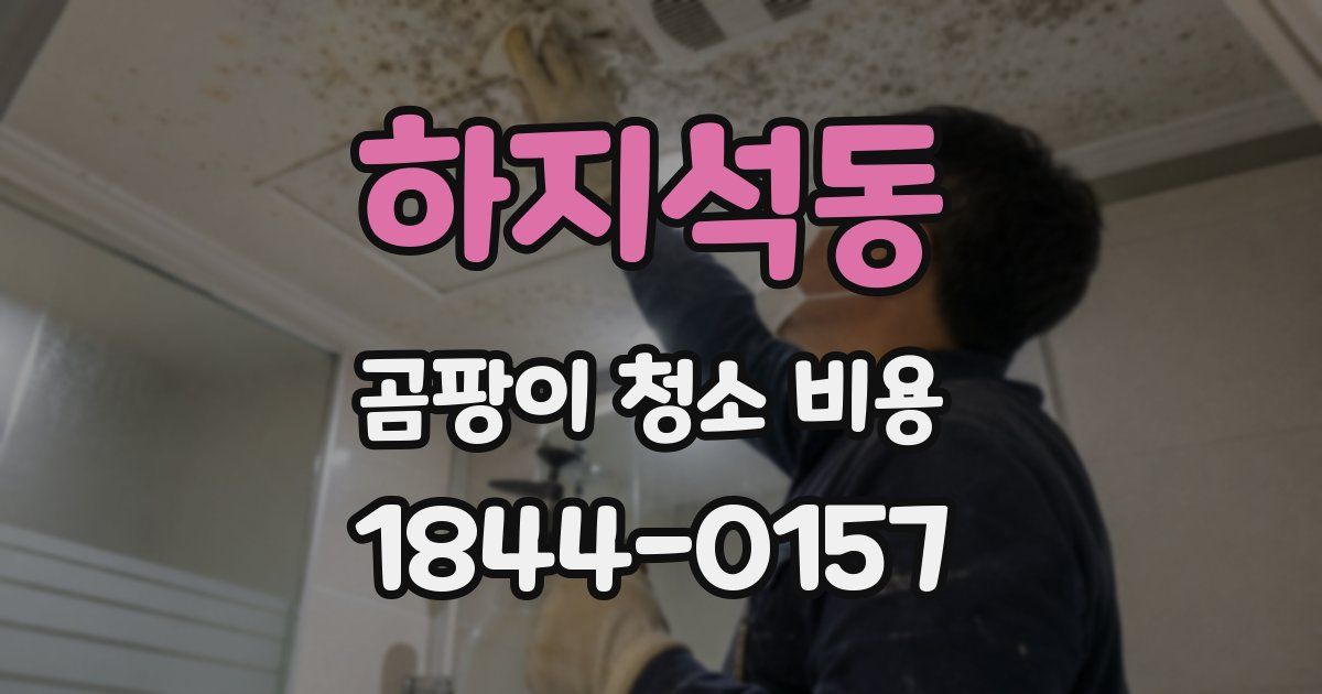 하지석동 곰팡이 청소 비용