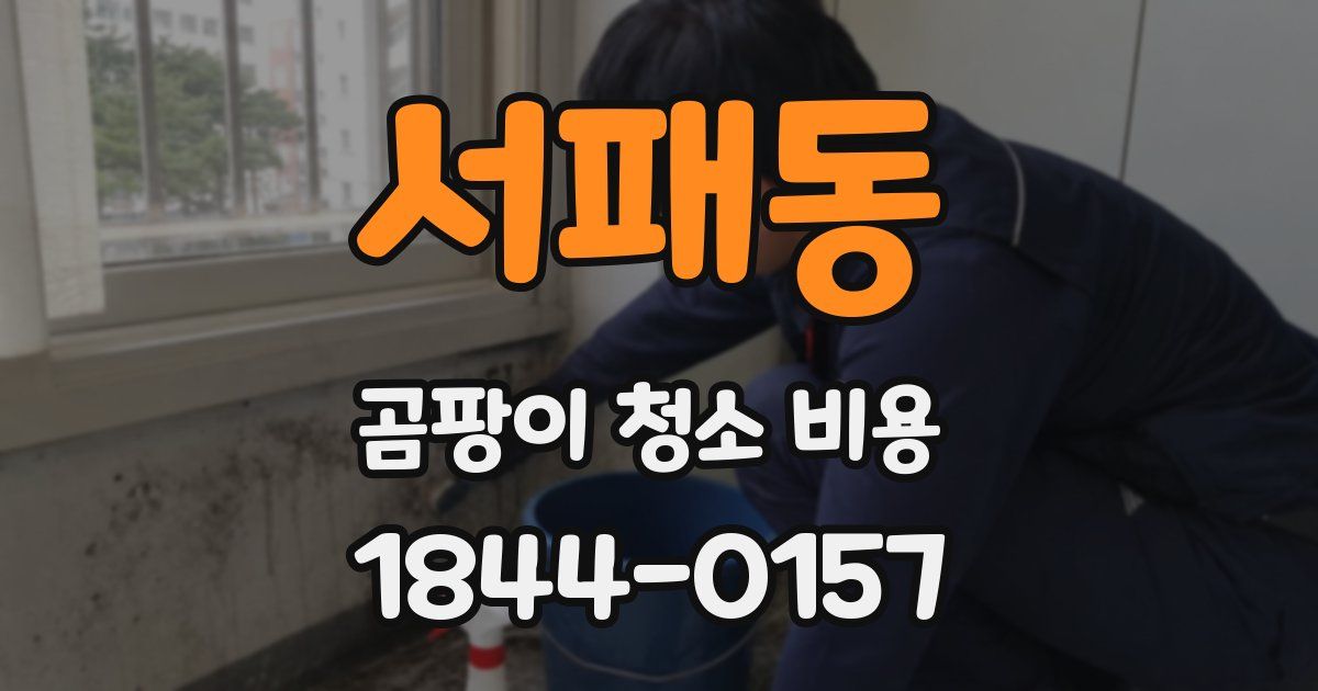서패동 곰팡이 청소 비용