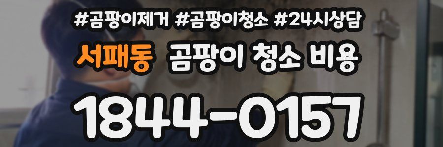 서패동 곰팡이 청소 비용