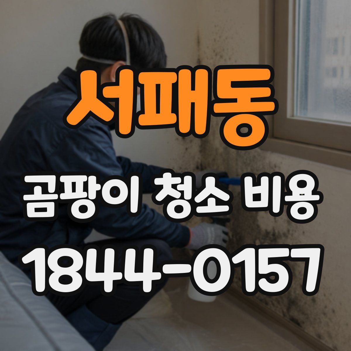 서패동 곰팡이 청소 비용