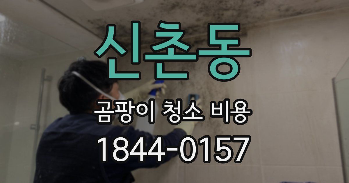 신촌동 곰팡이 청소 비용