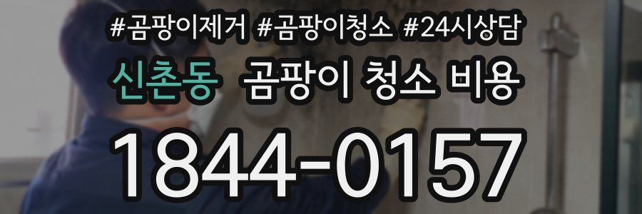 신촌동 곰팡이 청소 비용